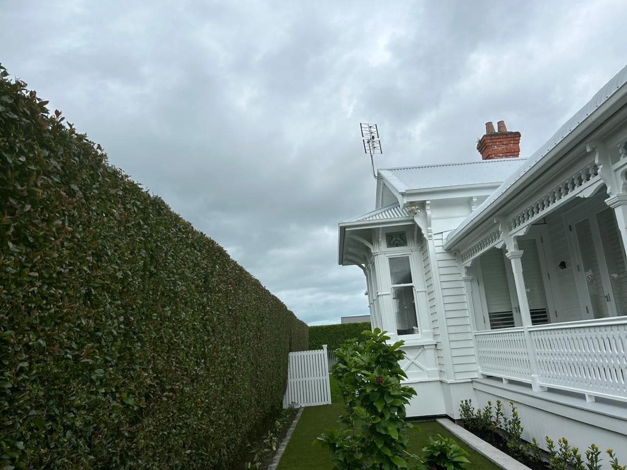 Topiary pruning Auckland