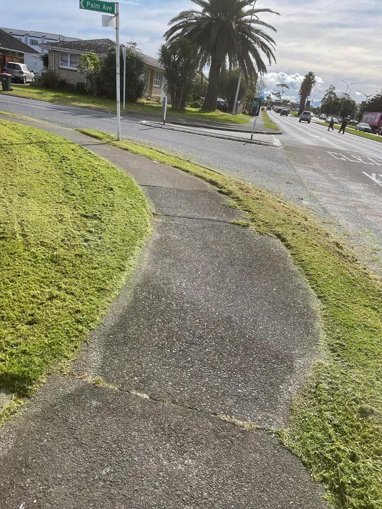 Rubbish Removal Auckland — Greenscape