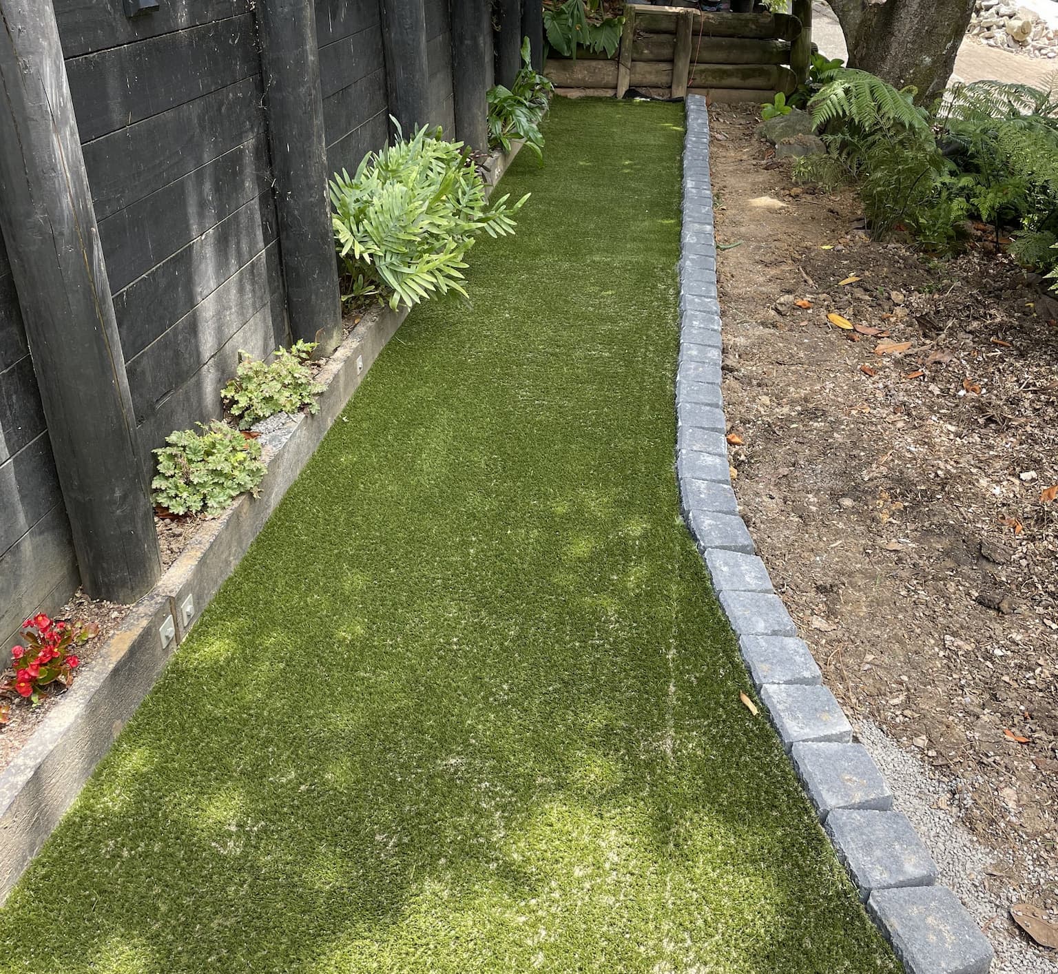 Professional decking Auckland